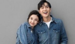 娱乐圈吃瓜总结赵薇,娱乐圈风云变幻中的璀璨明星